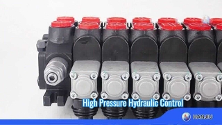 صمام قسم DCV60